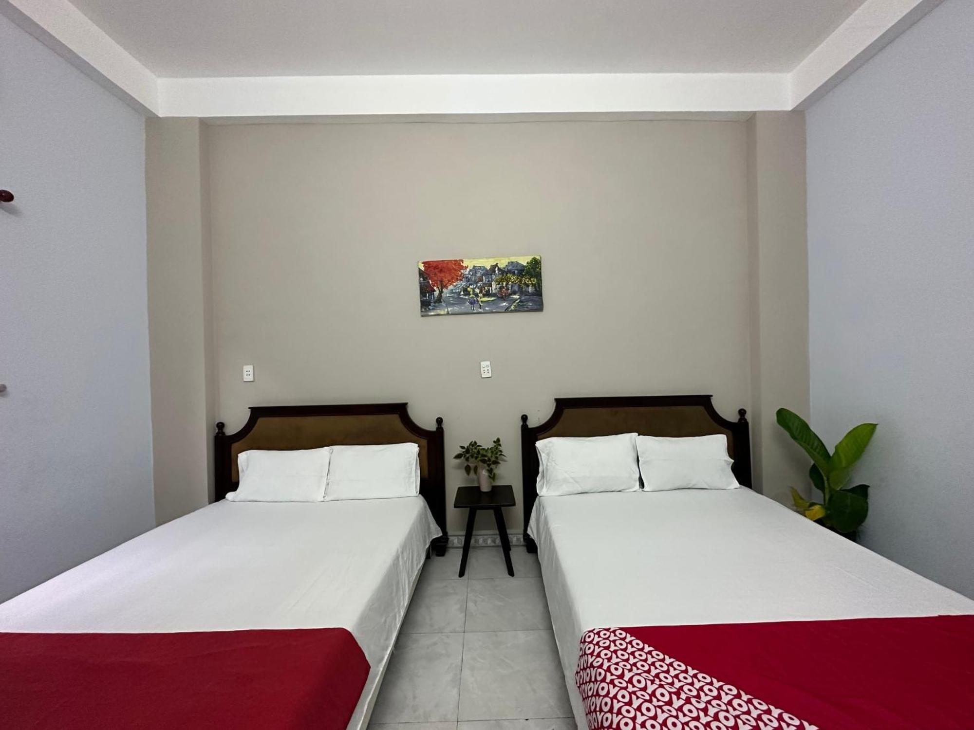 Oyo 1187 Suoi Da Motel Đà Nẵng Extérieur photo